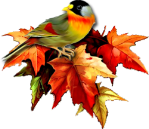 őszi állatok_186.png